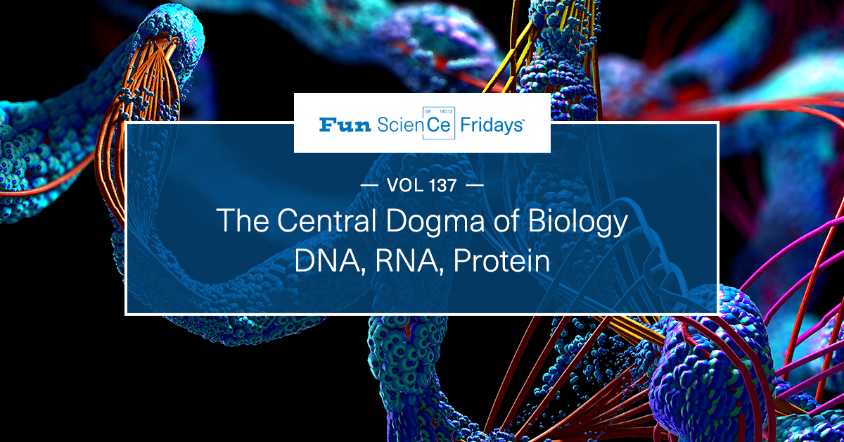 Volume 137 - The Central Dogma of Biology: DNA, RNA, Protein