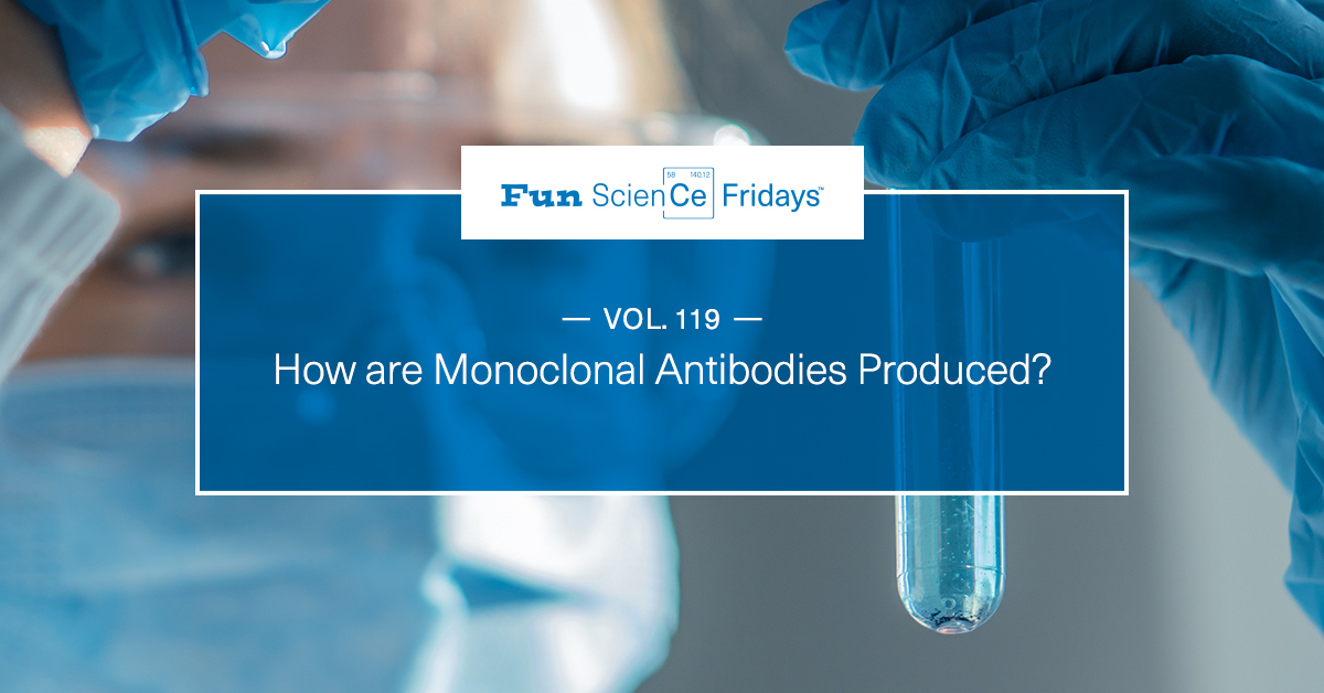 Volume 119 - How are Monoclonal Antibodies Produced?