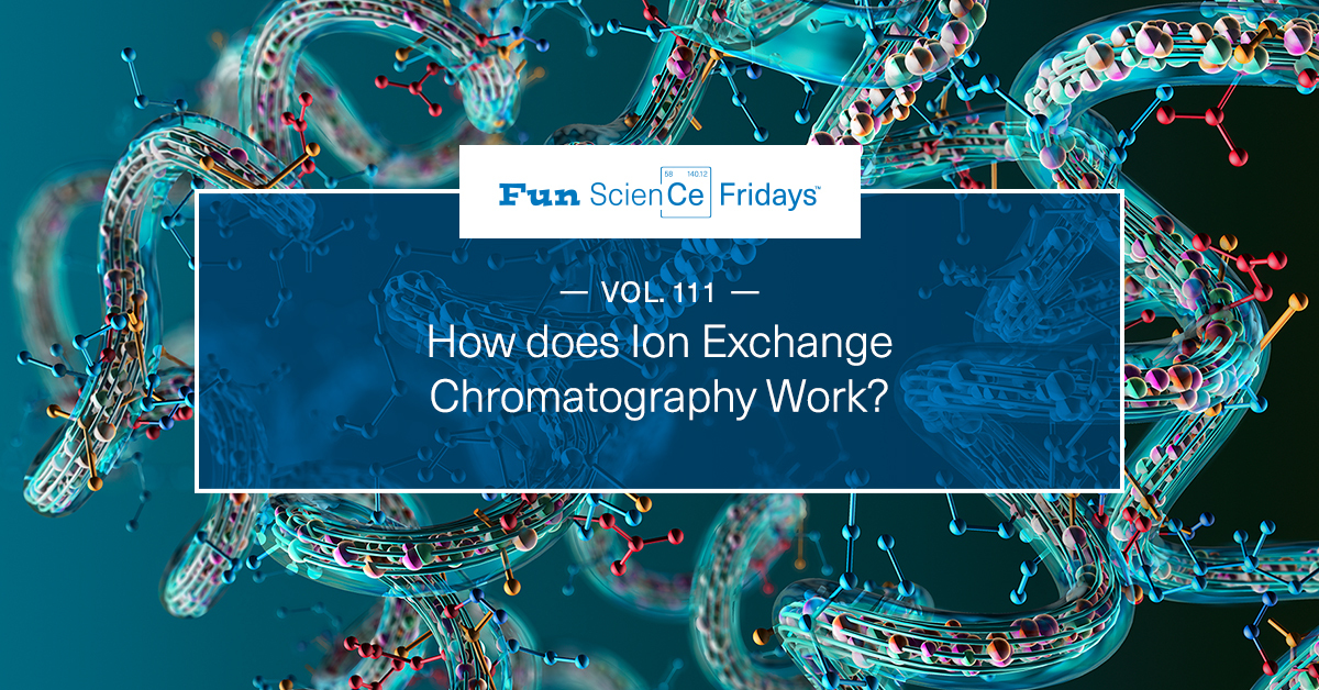 Volume 111 - How does Ion Exchange Chromatography Work?