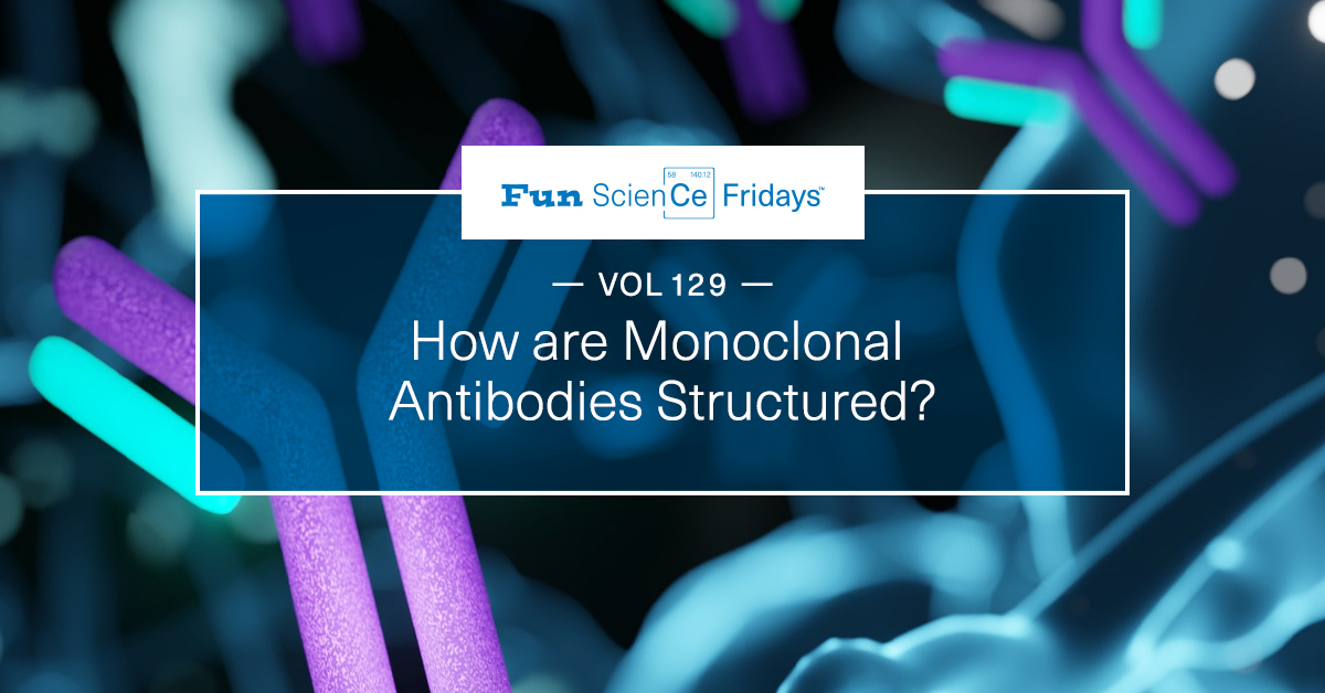 Volume 129 - How are Monoclonal Antibodies Structured?