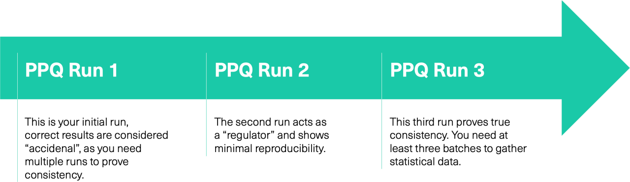 PPQ Run Steps