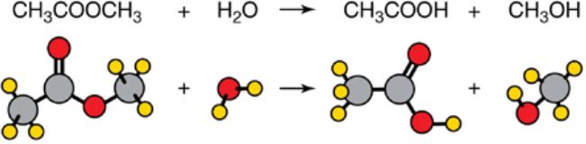 peptides