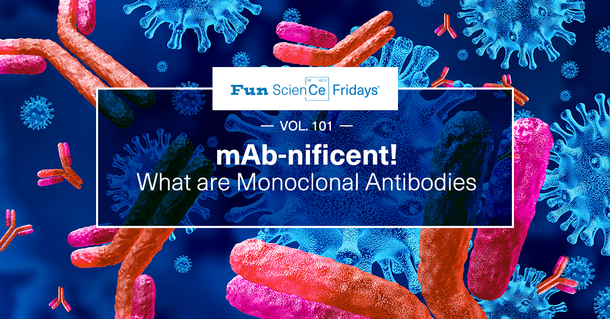 What are Monoclonal Antibodies